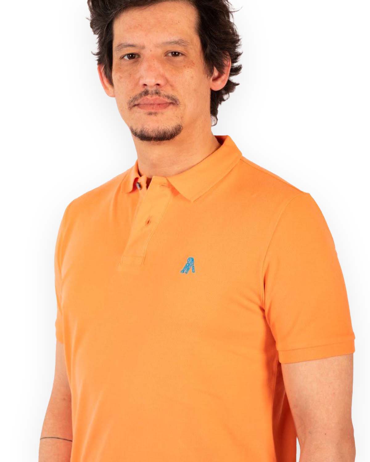 Classic POLO / Colorfull