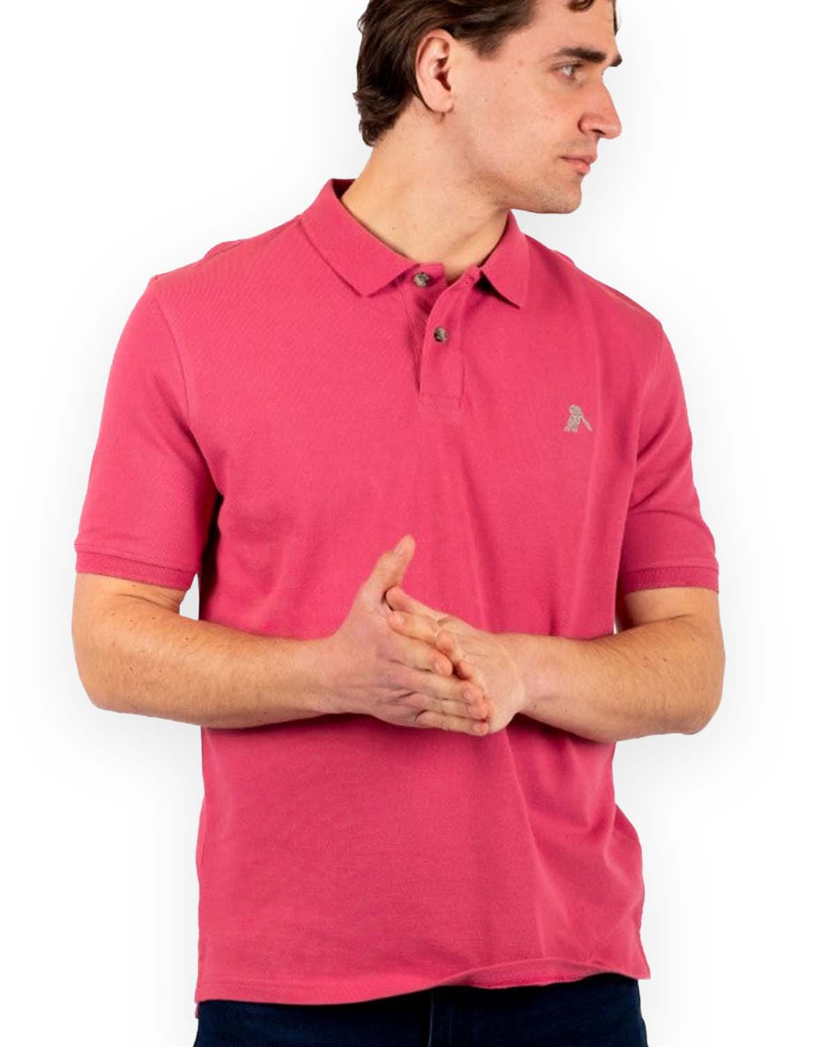 Classic POLO / Colorfull