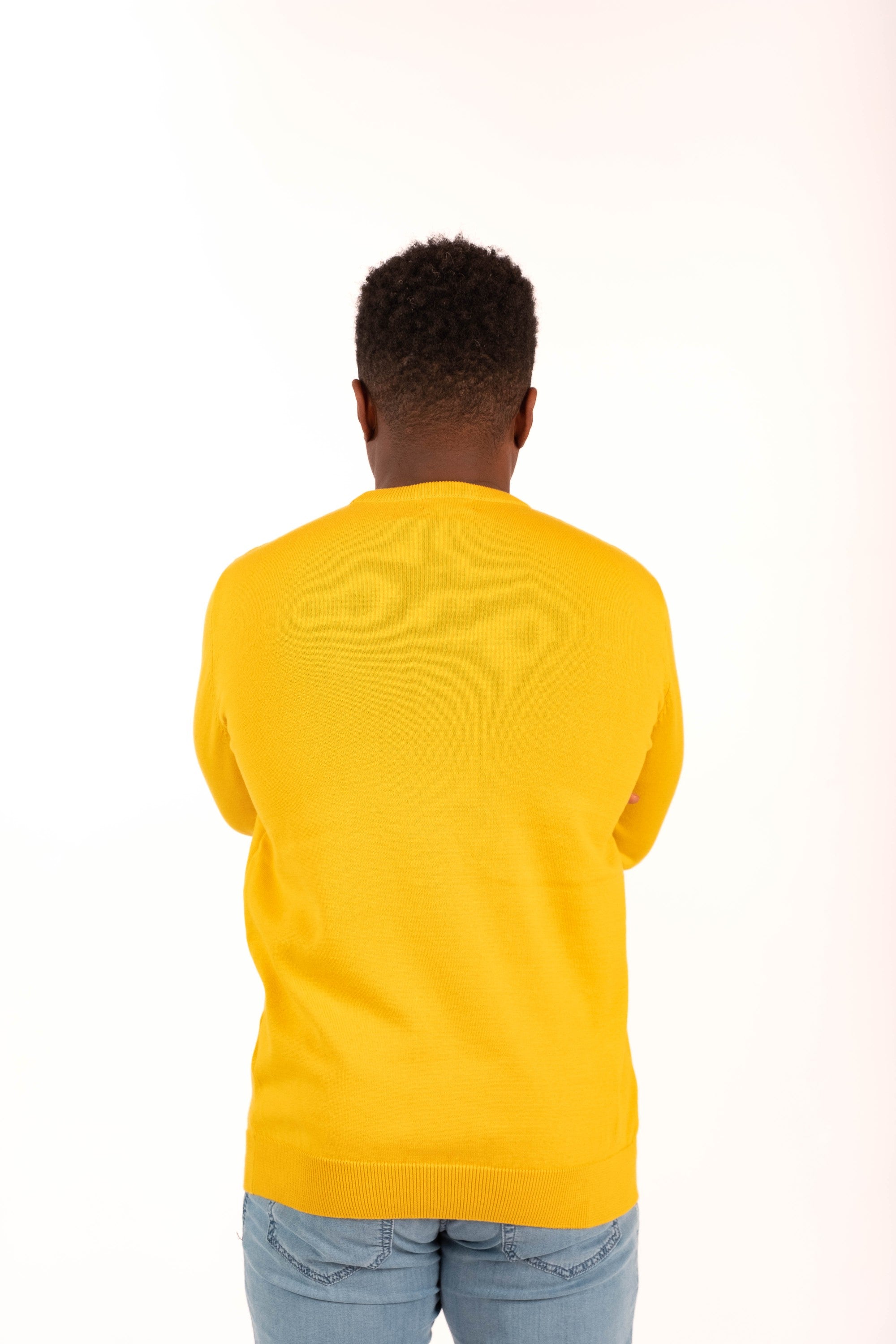 Sweater TIVOLI C NECK yellow - Cricketco.be