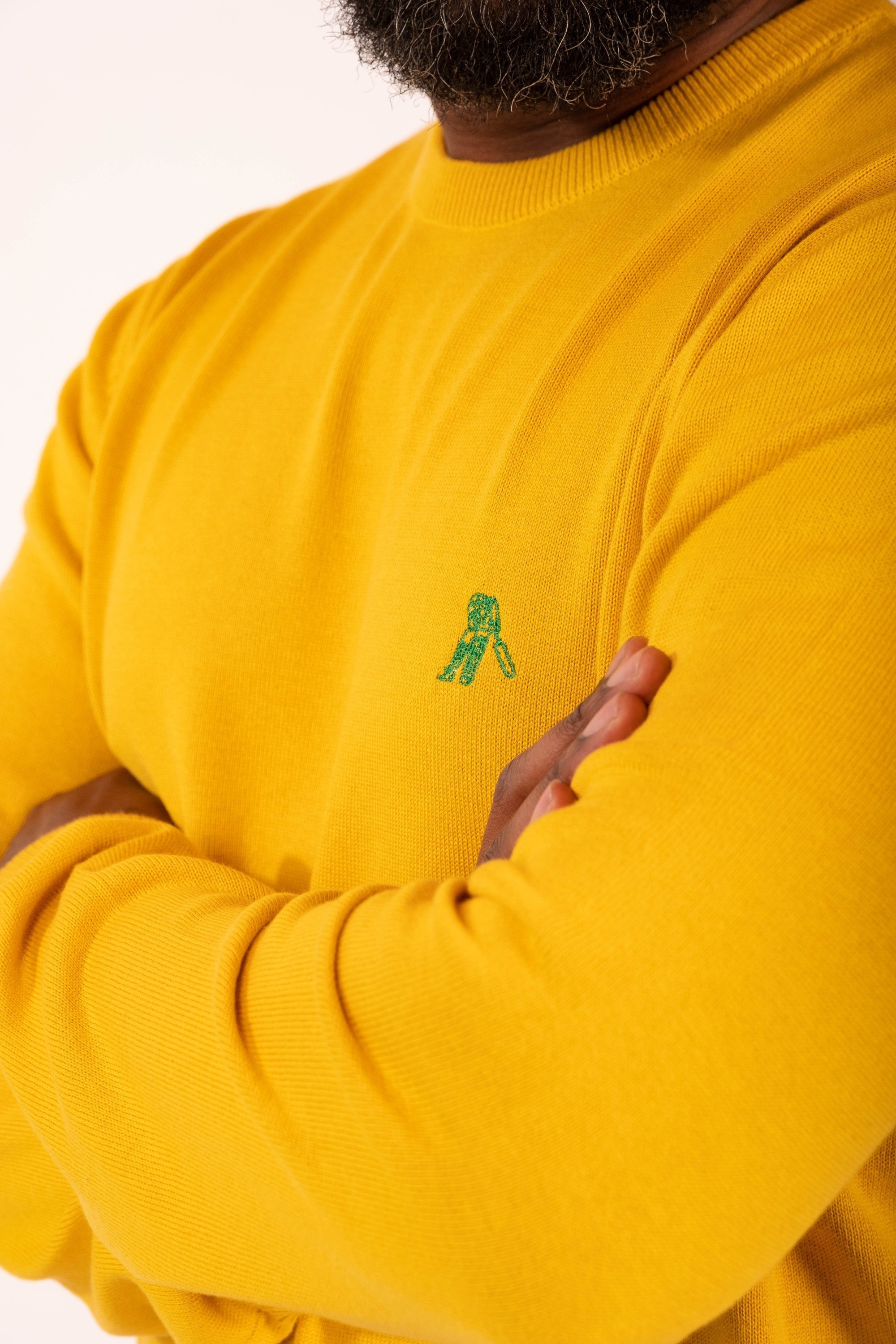 Sweater TIVOLI C NECK yellow - Cricketco.be